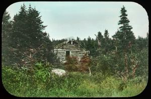 Image: A Liveyere's Home in the Woods of Labrador